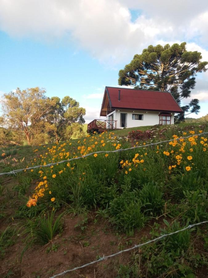 Casa de vidro encantadora com hidromassagem São Bento do Sapucaí Exterior foto
