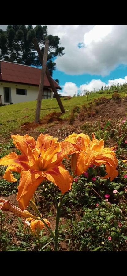 Casa de vidro encantadora com hidromassagem São Bento do Sapucaí Exterior foto