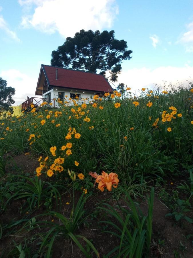 Casa de vidro encantadora com hidromassagem São Bento do Sapucaí Exterior foto