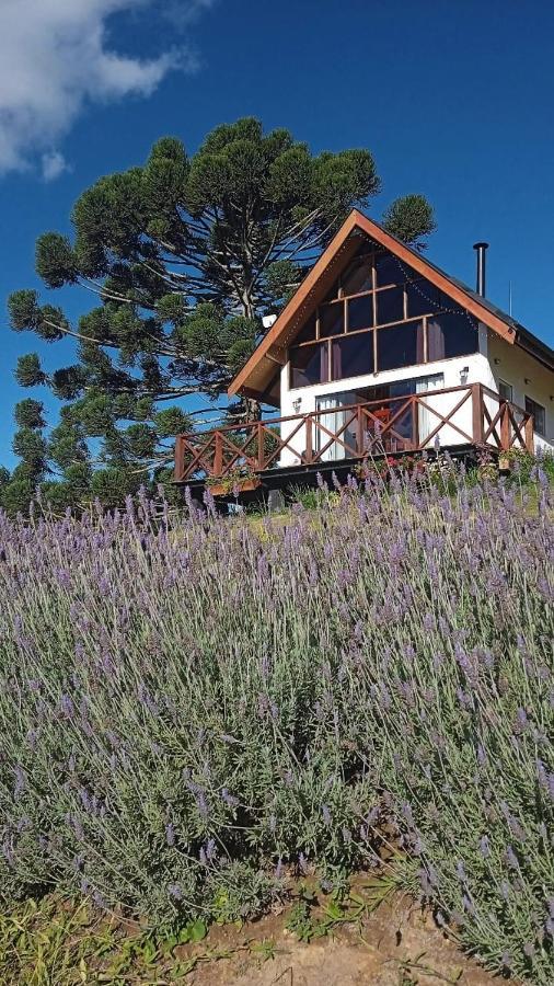 Casa de vidro encantadora com hidromassagem São Bento do Sapucaí Exterior foto